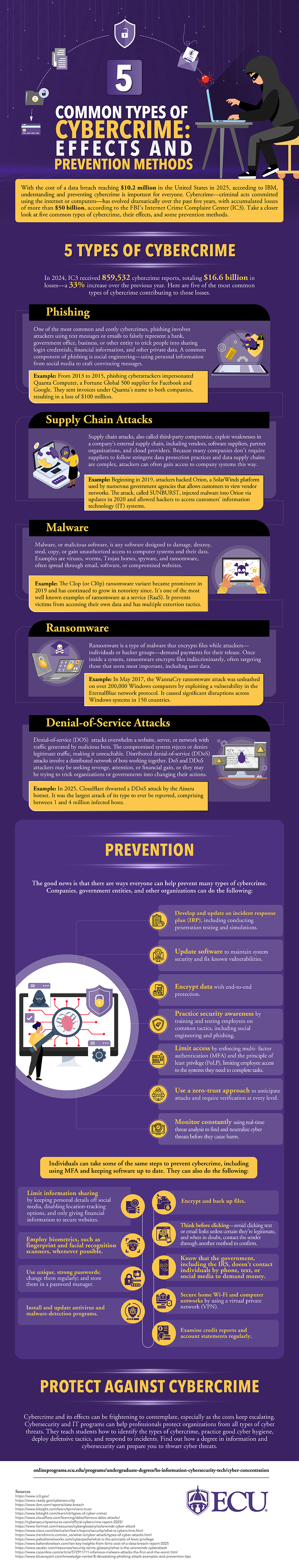 Infographic explaining the types of cybercrime. Descriptions and statistics are provided in the text.