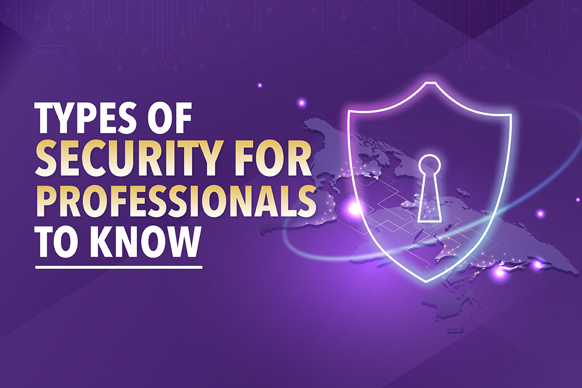 Infographic explaining some types of security for professionals